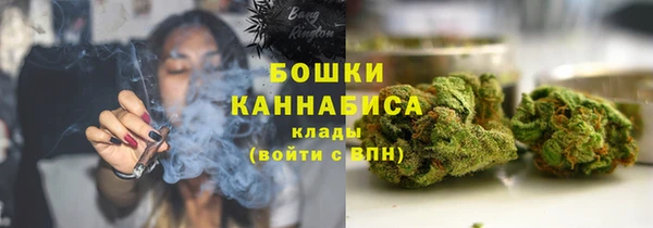 PSILOCYBIN Богородск