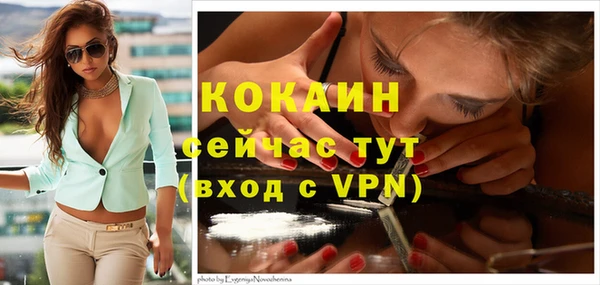 PSILOCYBIN Богородск