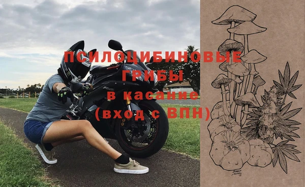 героин Богданович