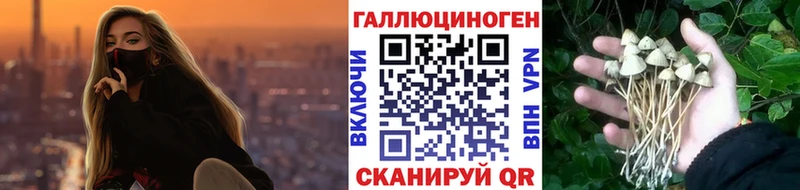 дарк нет формула  Бугуруслан  Галлюциногенные грибы MAGIC MUSHROOMS 